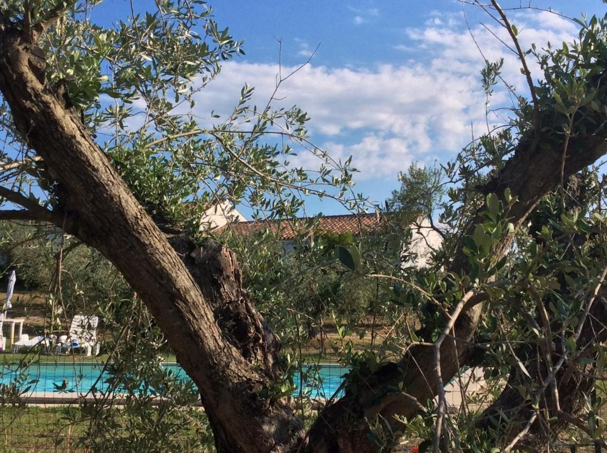 Tenuta Don Ballore Galtellì Kültér fotó