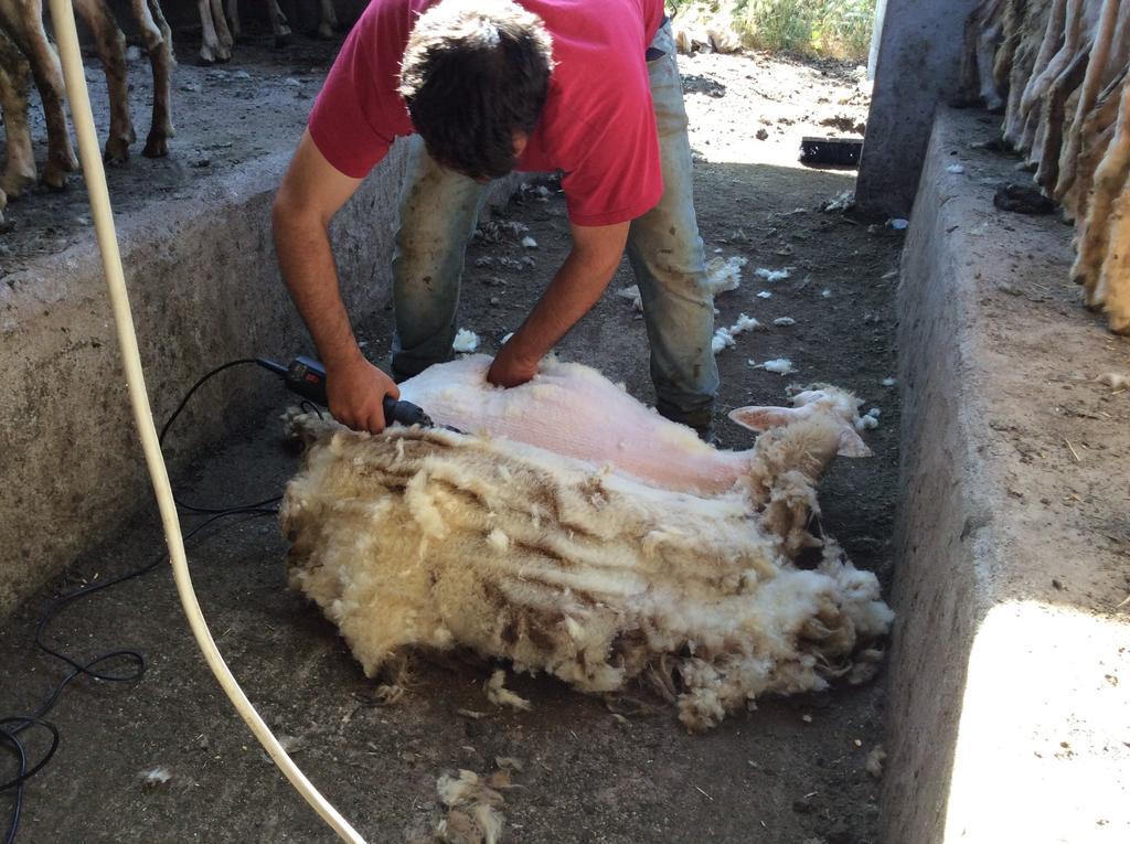 Tenuta Don Ballore Galtellì Kültér fotó
