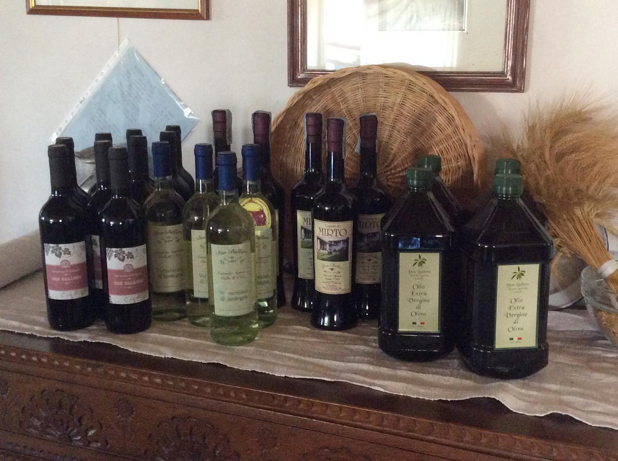 Tenuta Don Ballore Galtellì Kültér fotó